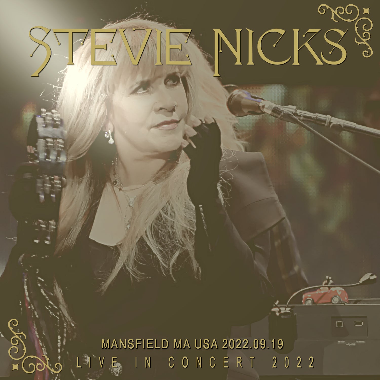 Stevie Nicks 2022US Tour September 17 Mansfield +bonus