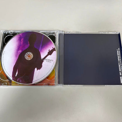 Oasis Brit Obscenity