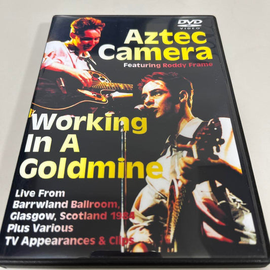 Aztec Camera Working In A Goldmine