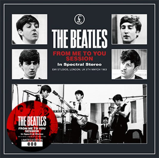 THE BEATLES - FROM ME TO YOU SESSION: IN SPECTRAL STEREO ( 1CD )